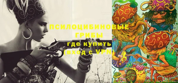 метадон Алексин