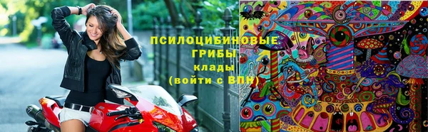 гидра Алзамай