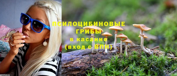 гидра Алзамай