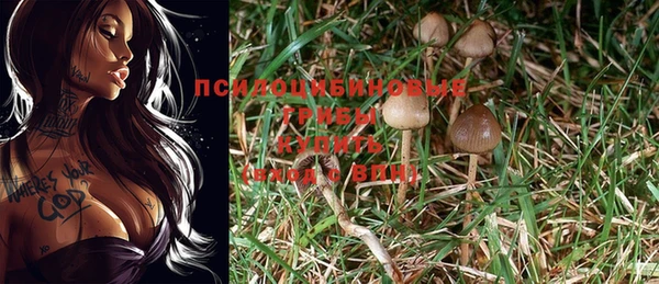 mix Армянск