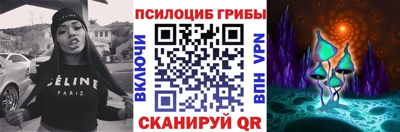 Галлюциногенные грибы Psilocybine cubensis  закладка  Медногорск 